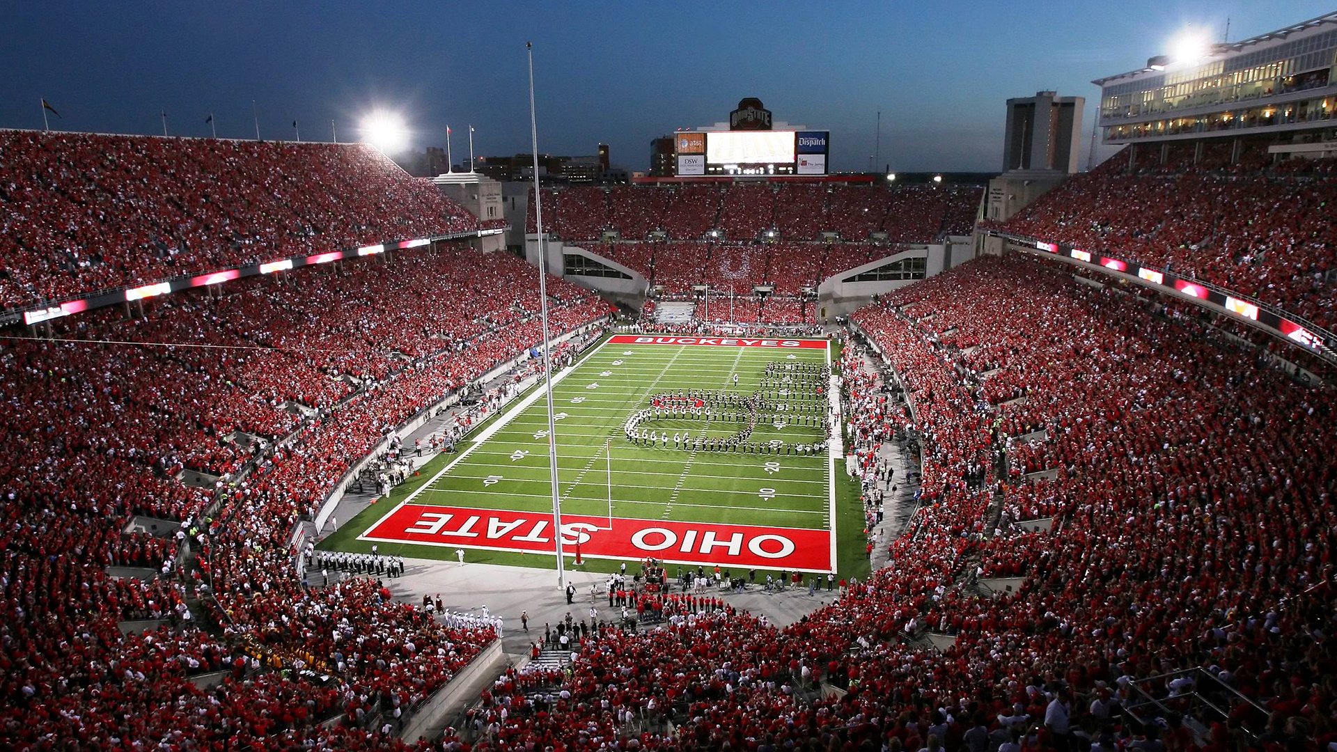 “阿根廷美洲狮队稳步前行，目标瞄准橄榄球未来”