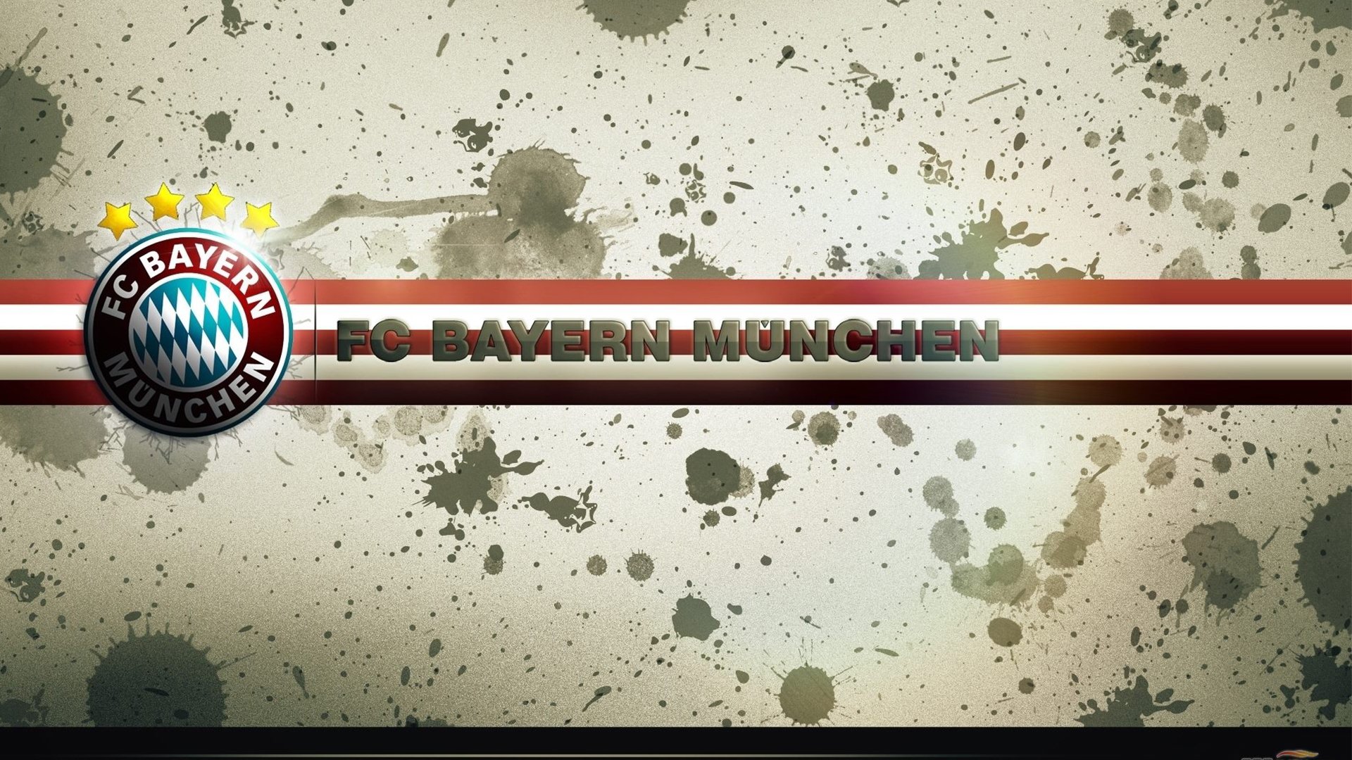 “阿根廷美洲狮队稳步前行，目标瞄准橄榄球未来”