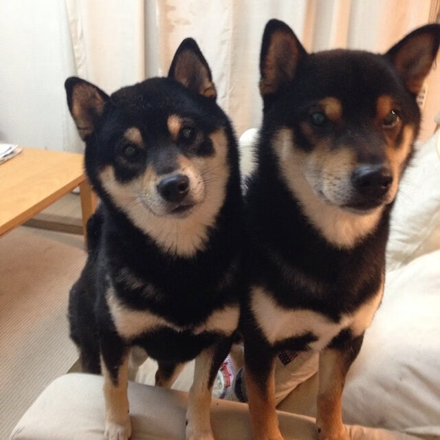 全国青少年“追梦中国”篮球文化系列巡展在各大城市持续火热进行